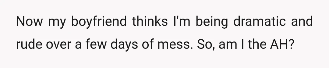 Now my boyfriend thinks I'm being dramatic and rude over a few days of mess. So, am I the AH?