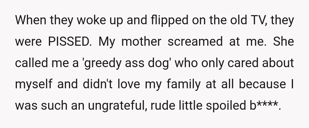 When they woke up and flipped on the old TV, they were PISSED. My mother screamed at me. She called me a 'greedy ass dog' who only cared about myself...