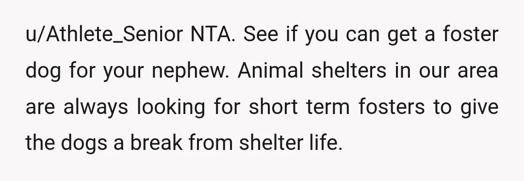 u/Athlete_Senior NTA. See if you can get a foster dog for your nephew. Animal shelters in our area are always looking for short term fosters to give the dogs a...