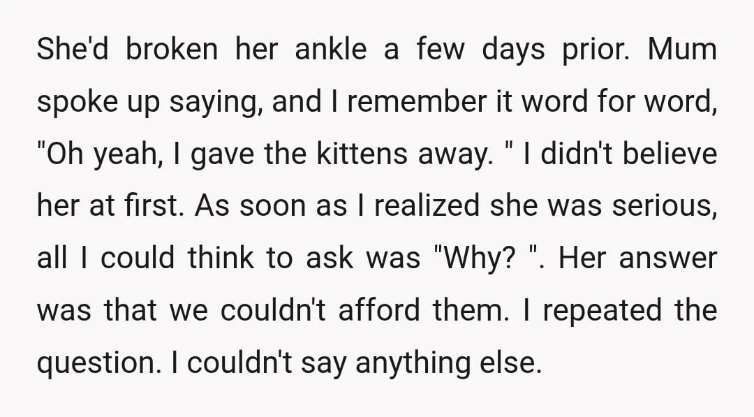 She'd broken her ankle a few days prior. Mum spoke up saying, and I remember it word for word, "Oh yeah, I gave the kittens away. " I didn't believe...