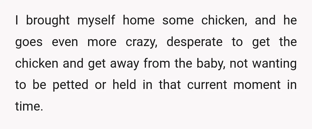 I brought myself home some chicken, and he goes even more crazy, desperate to get the chicken and get away from the baby, not wanting to be petted or held...