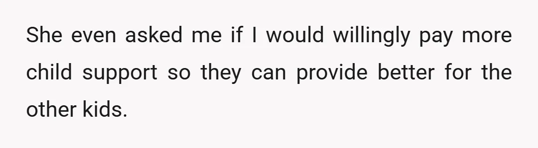 She even asked me if I would willingly pay more child support so they can provide better for the other kids.
