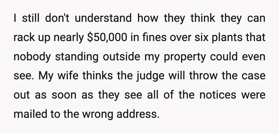 I still don't understand how they think they can rack up nearly $50,000 in fines over six plants that nobody standing outside my property could even see. My wife thinks...
