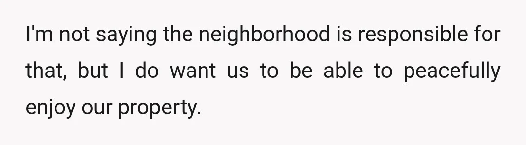 I'm not saying the neighborhood is responsible for that, but I do want us to be able to peacefully enjoy our property.