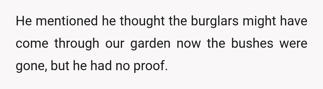 He mentioned he thought the burglars might have come through our garden now the bushes were gone, but he had no proof.