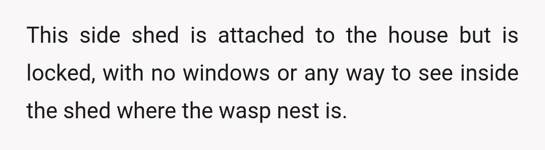 This side shed is attached to the house but is locked, with no windows or any way to see inside the shed where the wasp nest is.