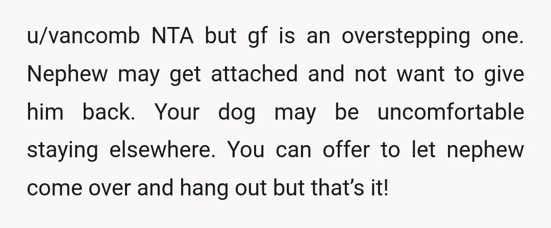 u/vancomb NTA but gf is an overstepping one. Nephew may get attached and not want to give him back. Your dog may be uncomfortable staying elsewhere. You can offer to...