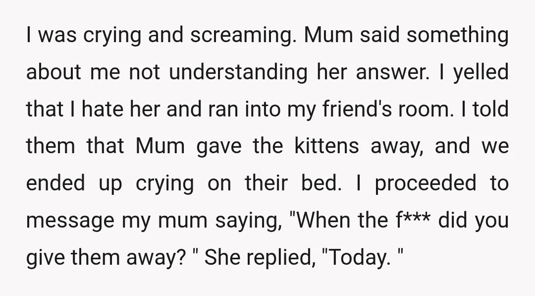 I was crying and screaming. Mum said something about me not understanding her answer. I yelled that I hate her and ran into my friend's room. I told them that...