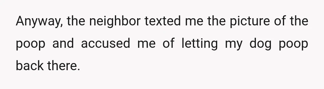 Anyway, the neighbor texted me the picture of the poop and accused me of letting my dog poop back there.