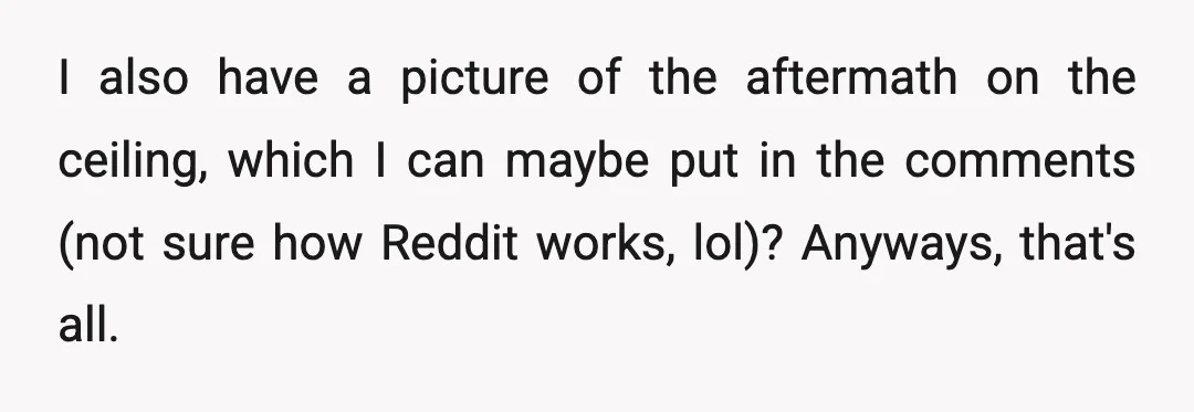 I also have a picture of the aftermath on the ceiling, which I can maybe put in the comments (not sure how Reddit works, lol)? Anyways, that's all.