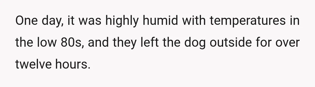 One day, it was highly humid with temperatures in the low 80s, and they left the dog outside for over twelve hours.