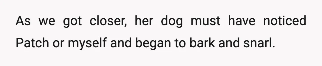 I could see the dog was muzzled, and she had him on a tight leash.