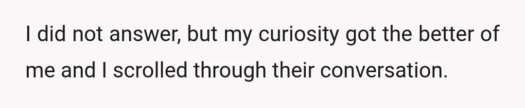 I did not answer, but my curiosity got the better of me and I scrolled through their conversation.