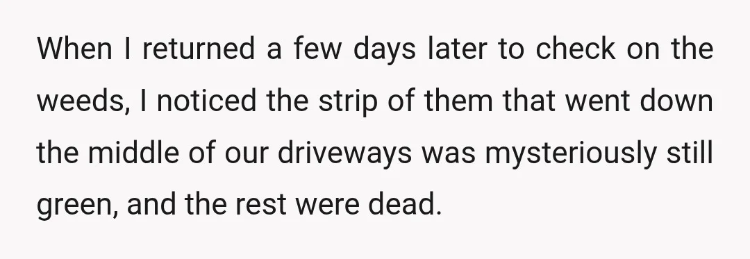 When I returned a few days later to check on the weeds, I noticed the strip of them that went down the middle of our driveways was mysteriously still green,...