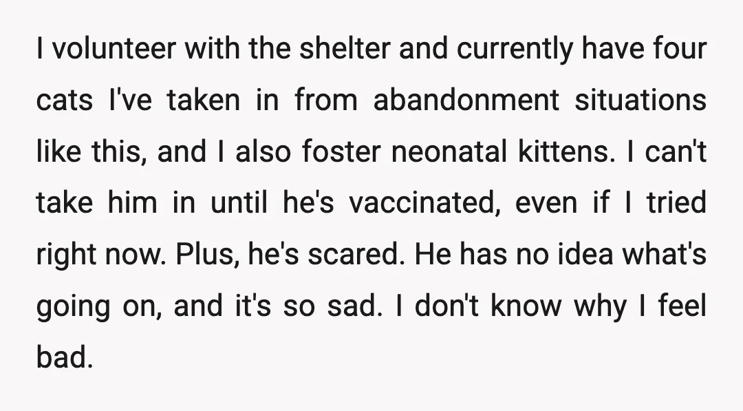 I volunteer with the shelter and currently have four cats I've taken in from abandonment situations like this, and I also foster neonatal kittens. I can't take him in until...