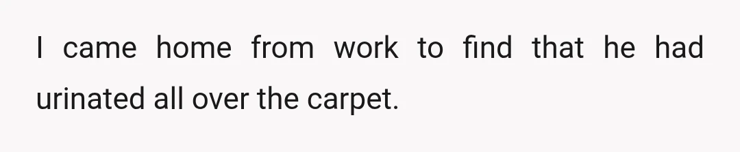 I came home from work to find that he had urinated all over the carpet.