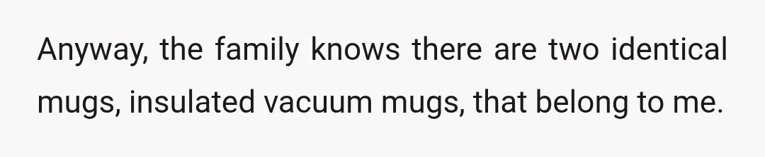 Anyway, the family knows there are two identical mugs, insulated vacuum mugs, that belong to me.