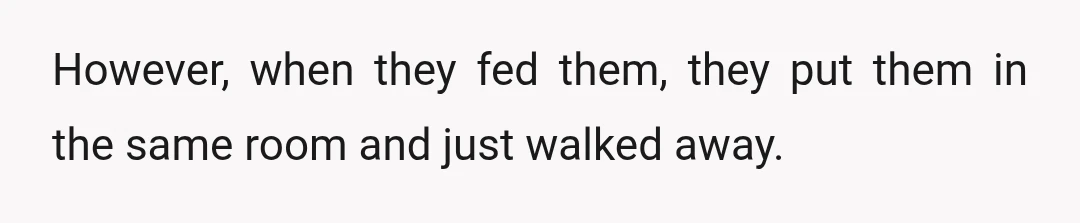 However, when they fed them, they put them in the same room and just walked away.