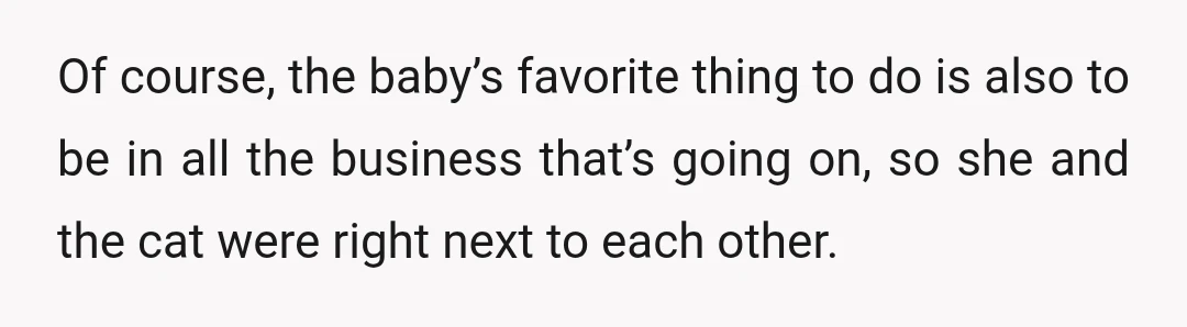 Of course, the baby’s favorite thing to do is also to be in all the business that’s going on, so she and the cat were right next to each other.