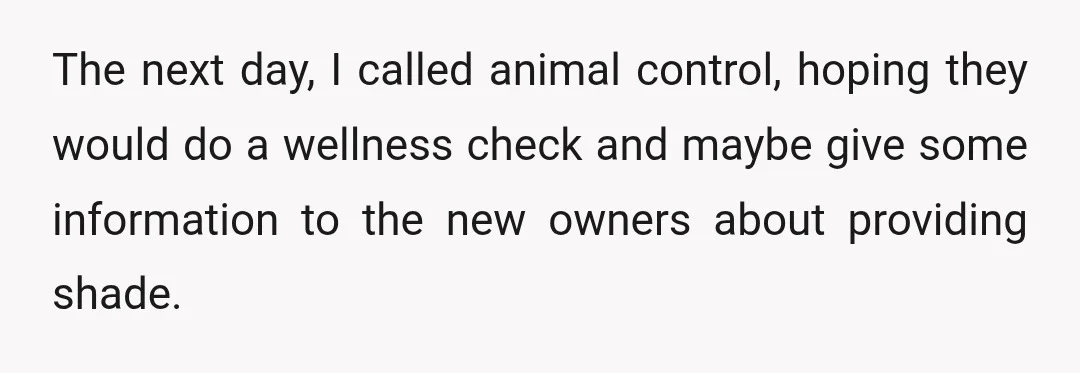 The next day, I called animal control, hoping they would do a wellness check and maybe give some information to the new owners about providing shade.