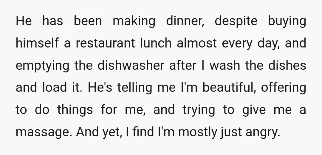 He has been making dinner, despite buying himself a restaurant lunch almost every day, and emptying the dishwasher after I wash the dishes and load it. He's telling me I'm...