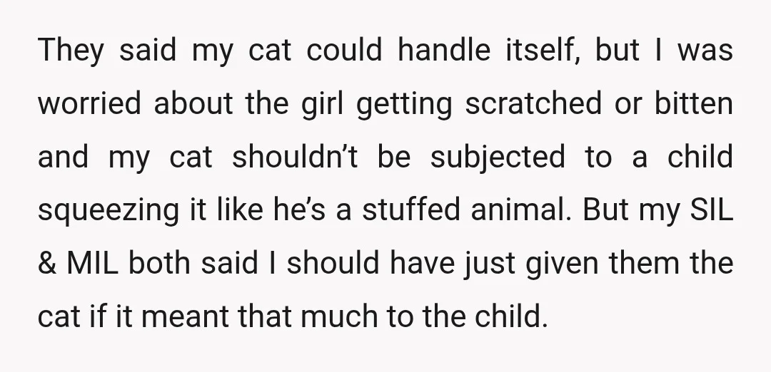 They said my cat could handle itself, but I was worried about the girl getting scratched or bitten and my cat shouldn’t be subjected to a child squeezing it like...