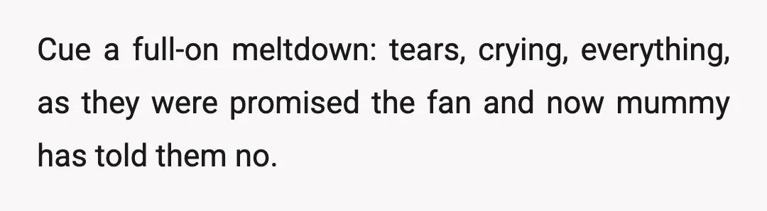 Cue a full-on meltdown: tears, crying, everything, as they were promised the fan and now mummy has told them no.