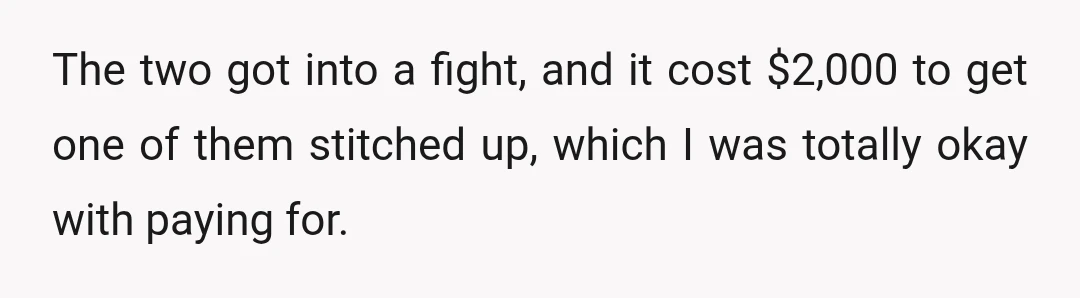 The two got into a fight, and it cost $2,000 to get one of them stitched up, which I was totally okay with paying for.