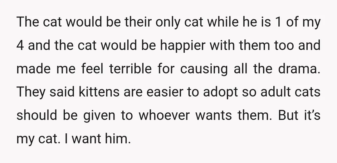 The cat would be their only cat while he is 1 of my 4 and the cat would be happier with them too and made me feel terrible for causing...