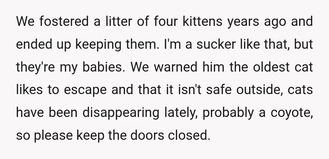 We fostered a litter of four kittens years ago and ended up keeping them. I'm a sucker like that, but they're my babies. We warned him the oldest cat likes...