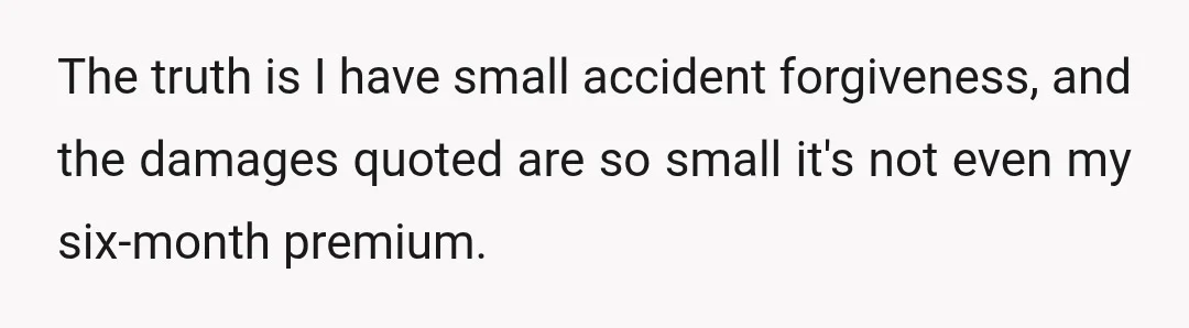 The truth is I have small accident forgiveness, and the damages quoted are so small it's not even my six-month premium.