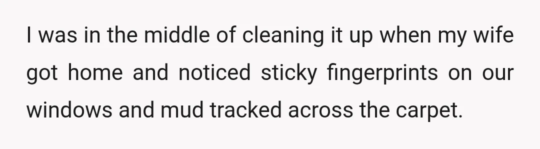 I was in the middle of cleaning it up when my wife got home and noticed sticky fingerprints on our windows and mud tracked across the carpet.