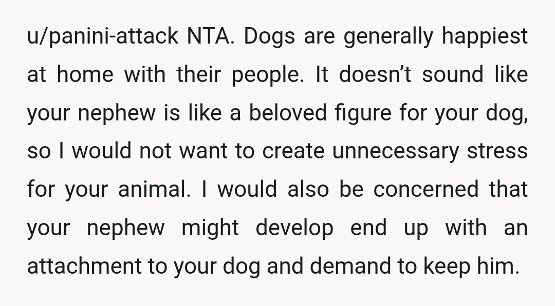 u/panini-attack NTA. Dogs are generally happiest at home with their people. It doesn’t sound like your nephew is like a beloved figure for your dog, so I would not want...