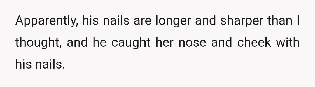 Apparently, his nails are longer and sharper than I thought, and he caught her nose and cheek with his nails.