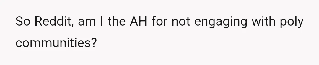 So Reddit, am I the AH for not engaging with poly communities?