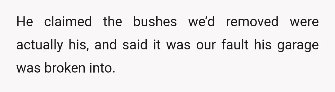 He claimed the bushes we’d removed were actually his, and said it was our fault his garage was broken into.