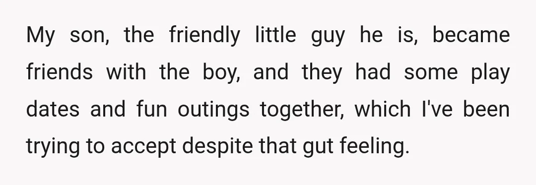 My son, the friendly little guy he is, became friends with the boy, and they had some play dates and fun outings together, which I've been trying to accept despite...