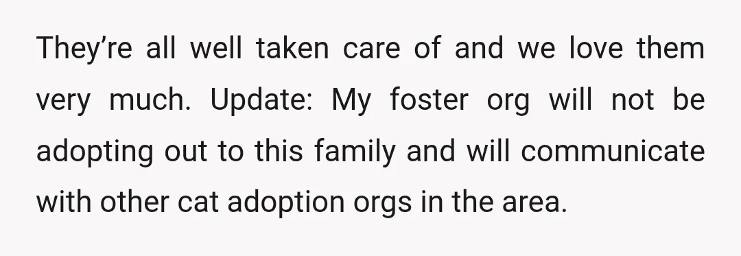 They’re all well taken care of and we love them very much. Update: My foster org will not be adopting out to this family and will communicate with other cat...