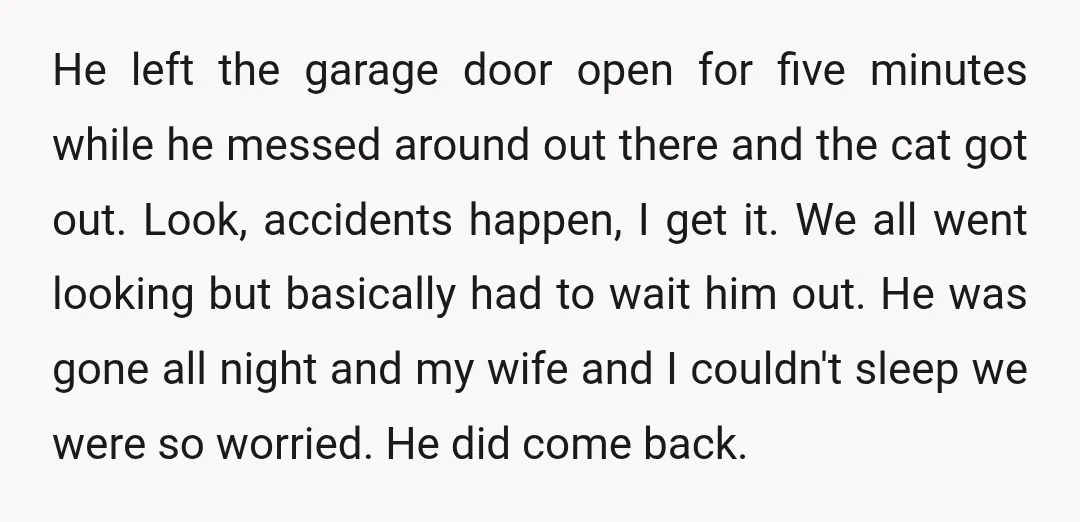 He left the garage door open for five minutes while he messed around out there and the cat got out. Look, accidents happen, I get it. We all went looking...