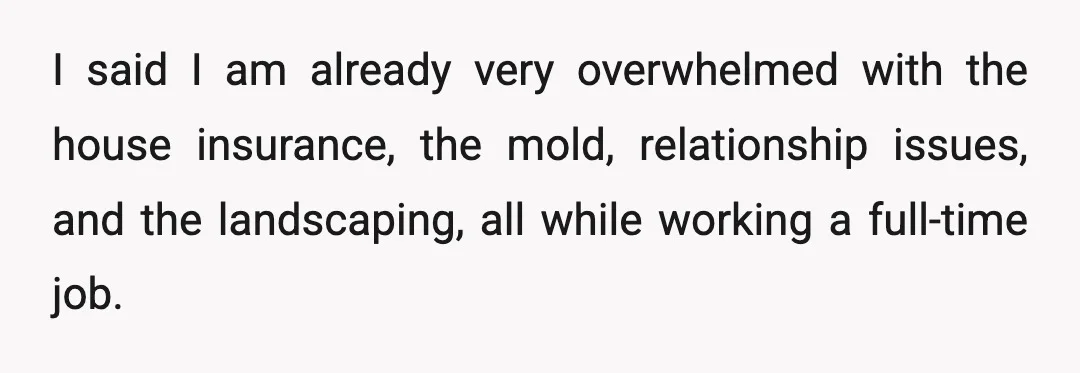 I said I am already very overwhelmed with the house insurance, the mold, relationship issues, and the landscaping, all while working a full-time job.