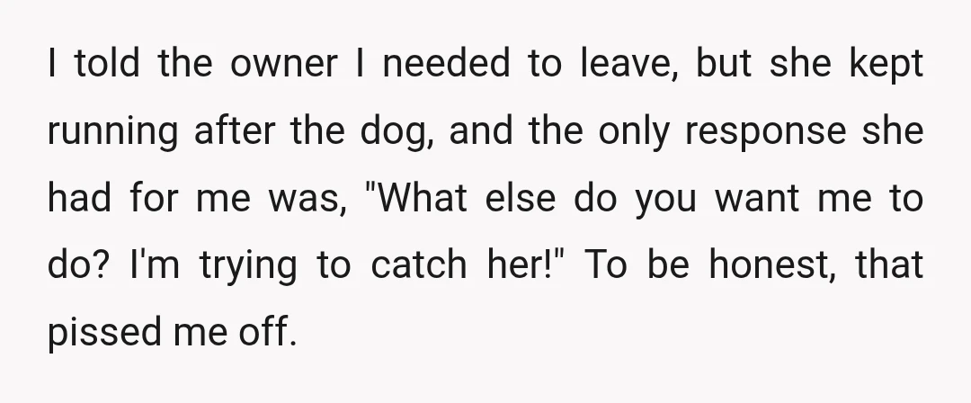 I told the owner I needed to leave, but she kept running after the dog, and the only response she had for me was, "What else do you want me...