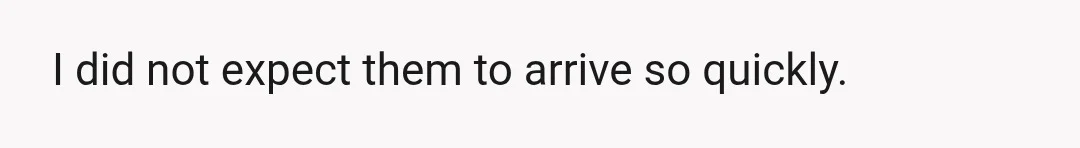 I did not expect them to arrive so quickly.