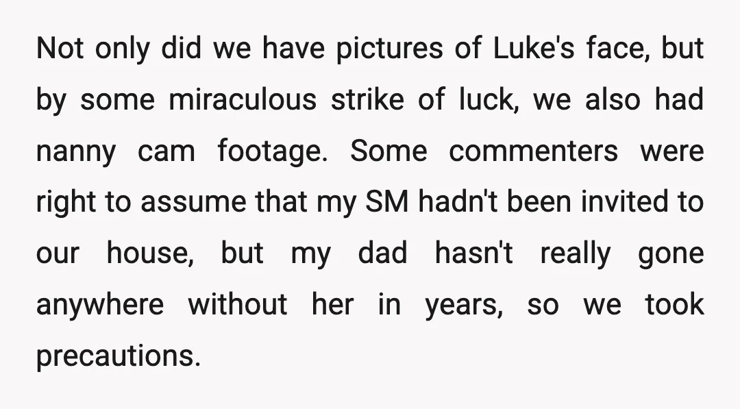 Not only did we have pictures of Luke's face, but by some miraculous strike of luck, we also had nanny cam footage. Some commenters were right to assume that my...