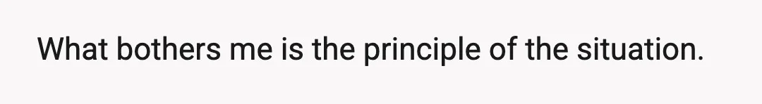 What bothers me is the principle of the situation.