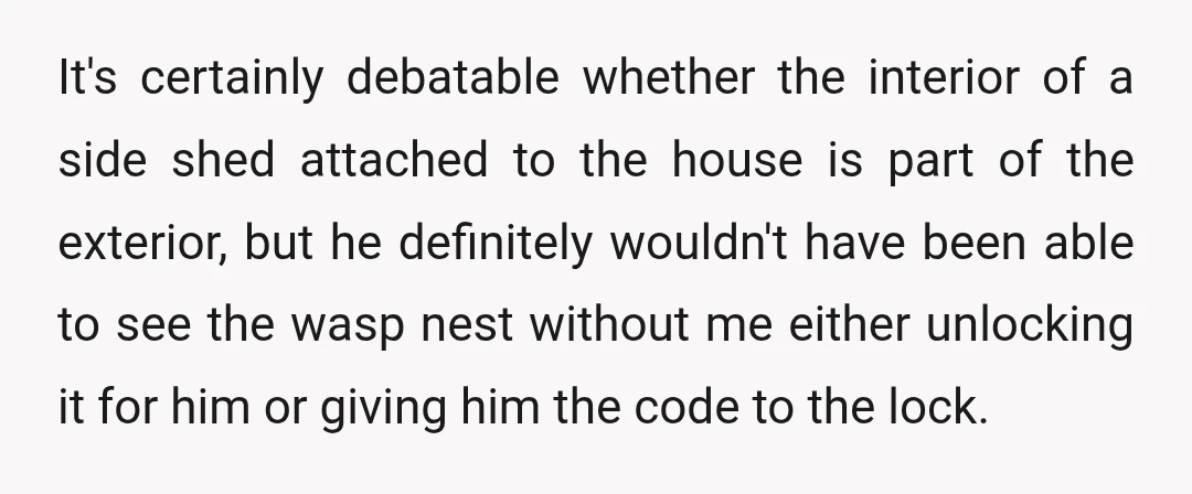 It's certainly debatable whether the interior of a side shed attached to the house is part of the exterior, but he definitely wouldn't have been able to see the wasp...