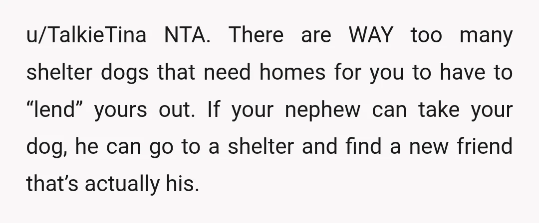 u/TalkieTina NTA. There are WAY too many shelter dogs that need homes for you to have to “lend” yours out. If your nephew can take your dog, he can go...