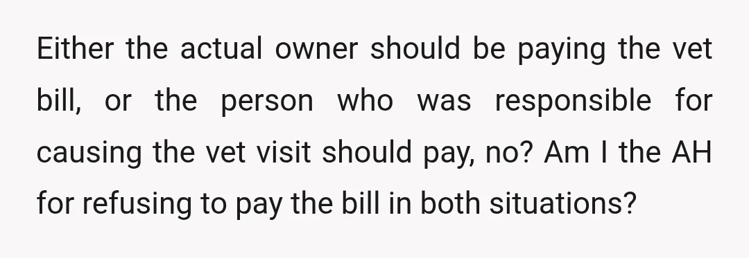Either the actual owner should be paying the vet bill, or the person who was responsible for causing the vet visit should pay, no? Am I the AH for refusing...