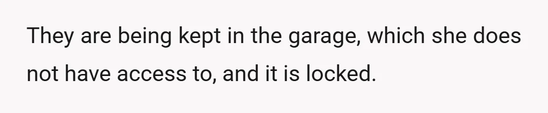 They are being kept in the garage, which she does not have access to, and it is locked.