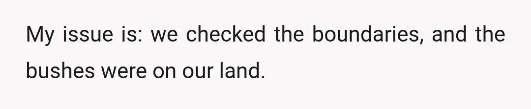 My issue is: we checked the boundaries, and the bushes were on our land.