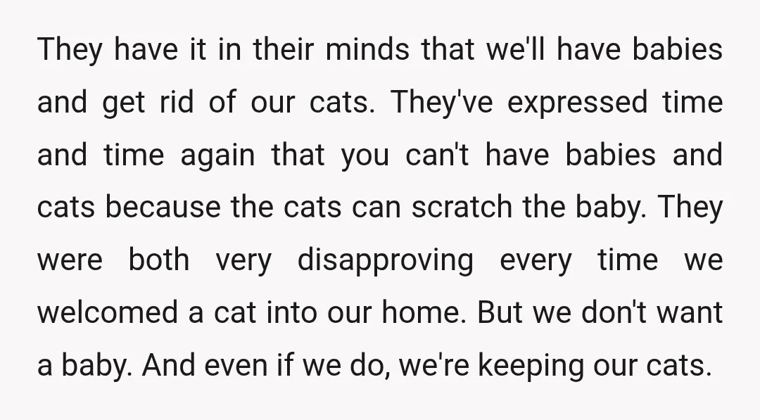 They have it in their minds that we'll have babies and get rid of our cats. They've expressed time and time again that you can't have babies and cats because...